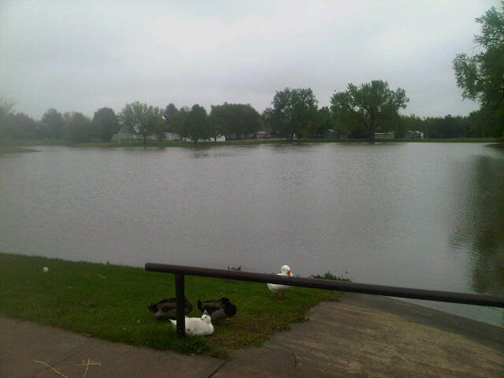 Picture5 Picture from May 2011 Flooding