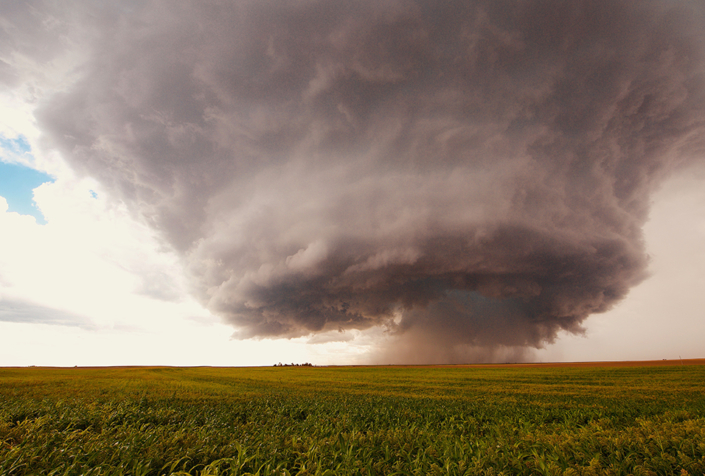 5D8A5310 Photo of Tornado in a Corn Field