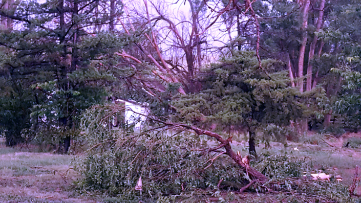 2019.08-storm-01 Picture from 2019 Storm