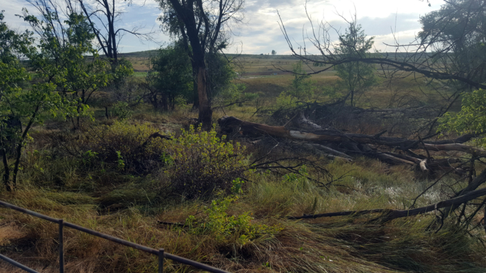 2019.08-storm-03 Picture from 2019 Storm