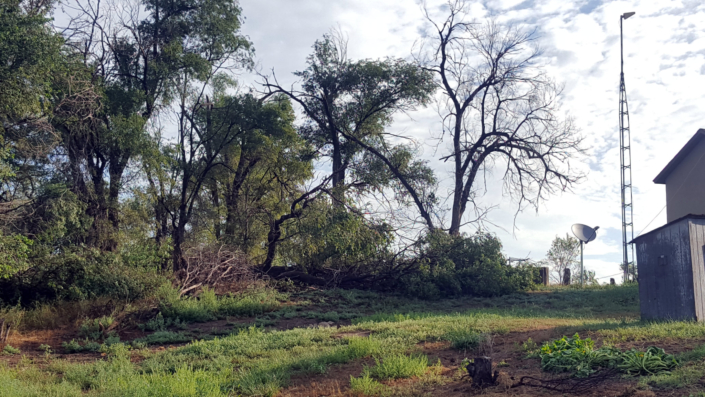 2019.08-storm-07 Picture from 2019 Storm