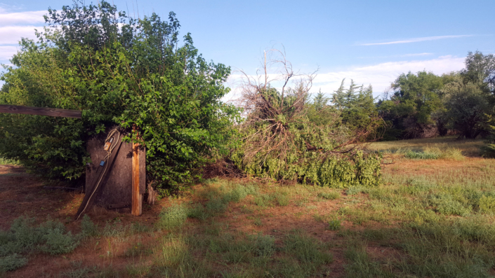 2019.08-storm-08 Picture from 2019 Storm