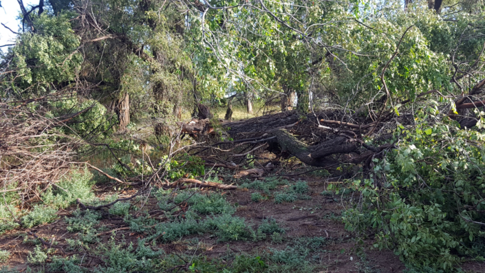 2019.08-storm-10 Picture from 2019 Storm