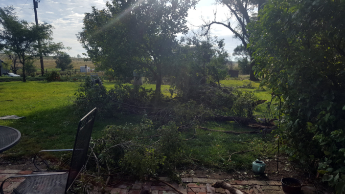 2019.08-storm-13 Picture from 2019 Storm