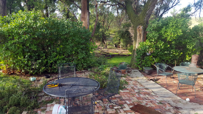 2019.08-storm-14 Picture from 2019 Storm