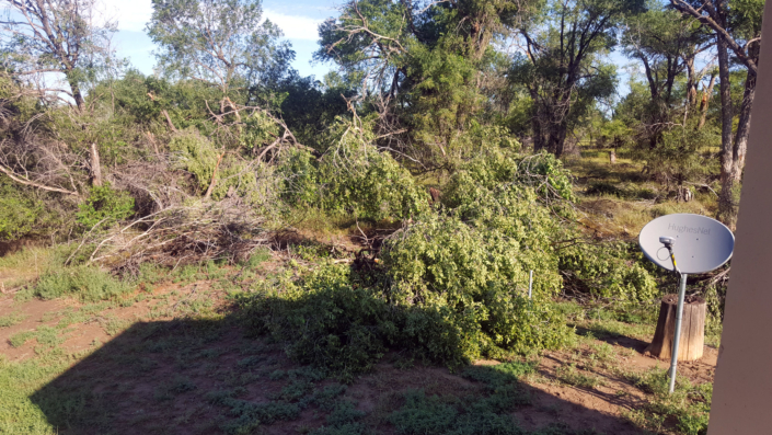 2019.08-storm-17 Picture from 2019 Storm